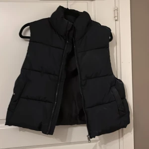 Svart väst med hög krage - Säljer en svart dunväst med hög krage och dragkedja framtill. Västen är quiltad och har en loose passform, perfekt att slänga över en hoodie eller tröja. Stilren och enkel design utan synliga loggor eller mönster.