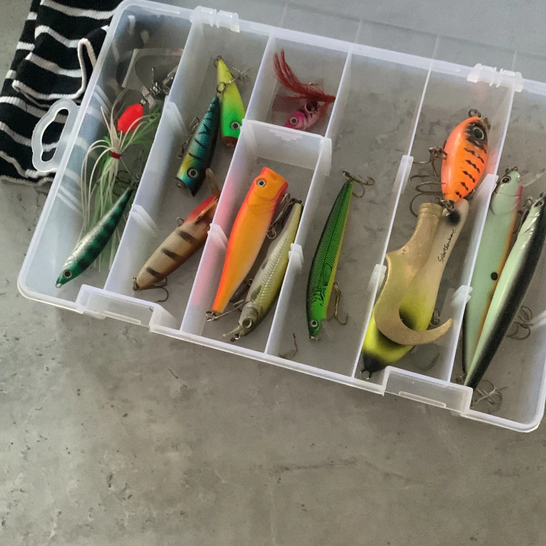 Transparent plastask för beten