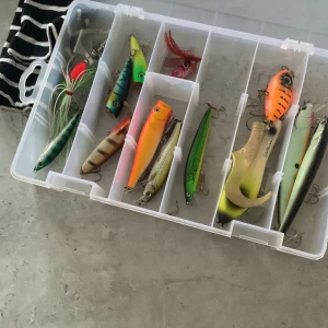 Transparent plastask för beten - Säljer en transparent plastask med flera fack, perfekt för att organisera fiskedrag och beten. Asken är rektangulär och har ett smidigt handtag. Passar dig som vill ha koll på dina fiskegrejer och snabbt hitta rätt drag vid vattnet.