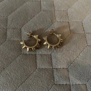 Guldörhängen med nitar - Snygga guldörhängen i form av ringar med nitar runtom. 