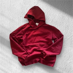 Acne Hoodie - Acne Hoodie L, väldigt bra skick.                             