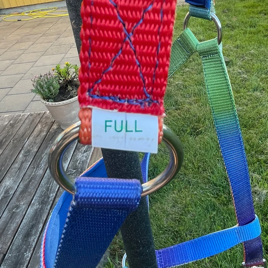 Regnbågsfärgat grimma i storlek Full - 1