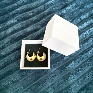 Guldiga chunky örhängen från Edblad - Säljer ett par snygga chunky örhängen från Edblad i blank guldig metall. Superfina!