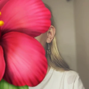 Stjärnformade örhängen i silver - Säljer ett par snygga stjärnformade örhängen i silver. De är hängande och har en enkel krok för att fästa i örat. Perfekta för att ge en extra touch till din outfit!