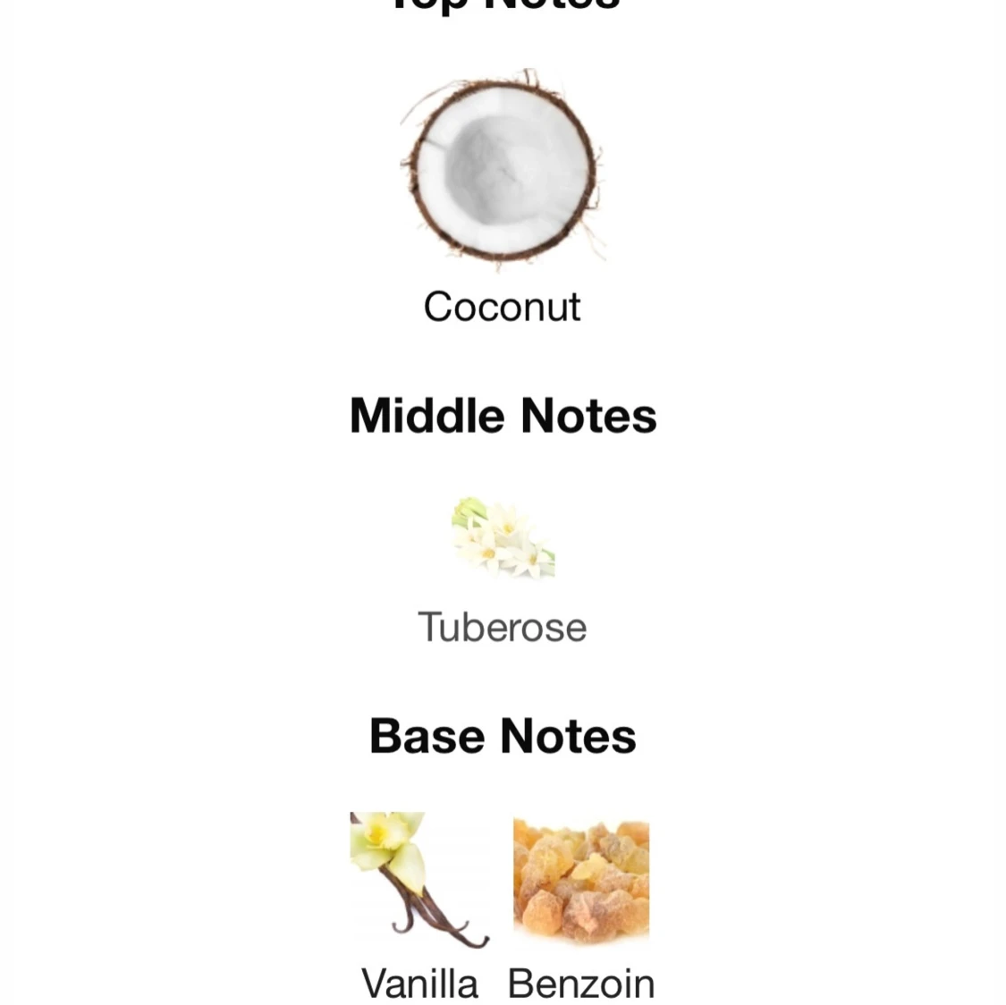 Coconut Leche från French Avenue - 2