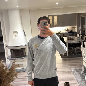 Grå sweatshirt med broderad logga - Grå sweatshirt från morris