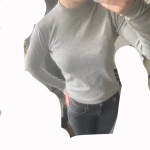 Grå tröja från Soft Rebels - Säljer en stilren grå tröja från Soft Rebels i storlek S. Tröjan har ribbade muddar och krage, är långärmad och har en klassisk, enkel design. Perfekt att matcha med jeans eller kjol för en clean look. Aldrig använd.