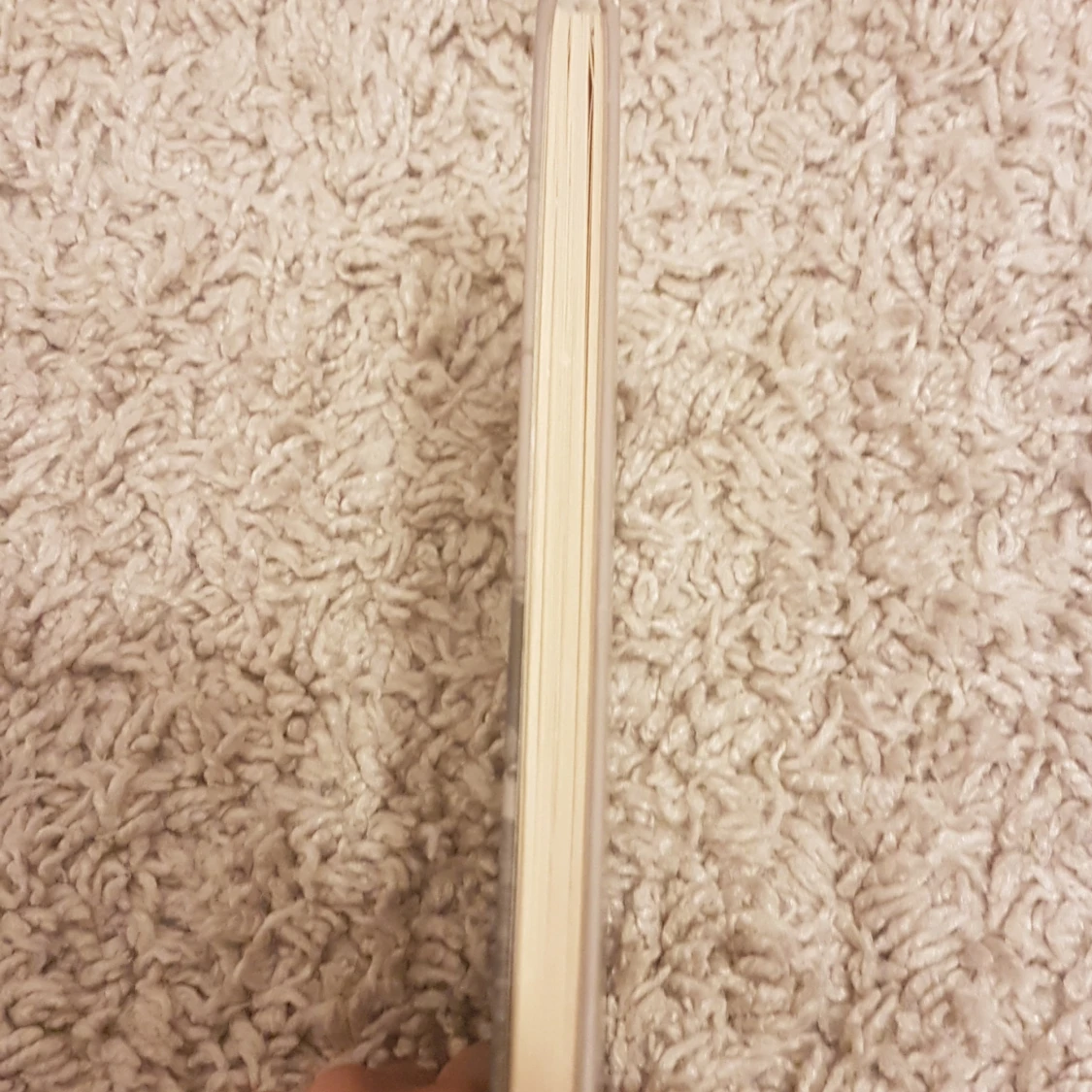 Möss och människor - 4