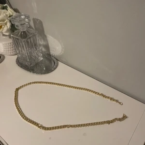 Guldkedja halsband  - Säljer en kedja som inte används 