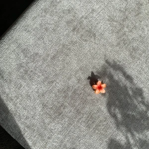 Söt mini hårklämma blomma - Söt mini hårklämma i form av en blomma med fem kronblad i rosa och orange toner. Perfekt accessoar för att ge en färgklick till din outfit. Hårklämman har en tydlig blommig design och passar dig som gillar unika smycken.