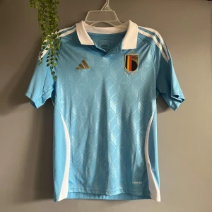 Belgien 2024 bortatröja - Tja! Säljer en riktigt snygg Belgien bortatröja från 2024. Har inte används mycket, utan har mest hängt i garderoben. Storlek är 164. Köptes från Pele Soccer/New York. Pris kan diskuteras🔥