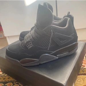 Jordan 4 black cat - Jordan 4 black cat i jätte bra skick. Storlek 41 och kommer med box och allt. Priset kan diskuteras!