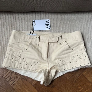 Zara shorts  - Zara limited edition shorts. Helt slutsålda! Storlek M. Nya med lapp