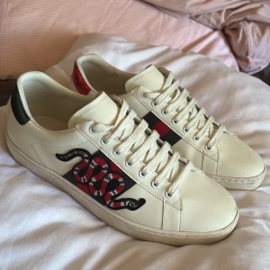 Gucci Ace (snake) - Tja, säljer mina fräscha Gucci ace (snake) skor i färgen vit. Jag säljer pga att dom är för små och dom är näst in till helt o andvända och är i skicket 9,5/10 storleken är 44 men jag som i vanliga fall har storleken 44 skulle säga att dom är små i storlekarna och att man borde ha en storlek större än vad man i vanliga fall har!