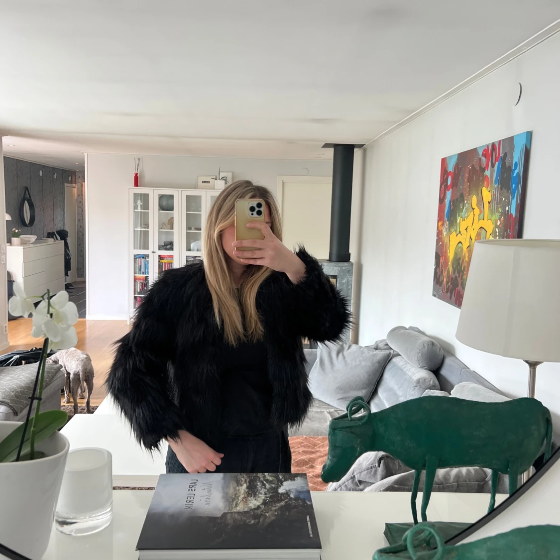 Svart pälsjacka - 1