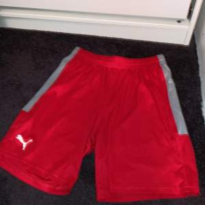 Röda sportshorts från puma, går att knyta, aldrig använda.