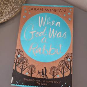 When God was a rabbit av Sarah Winman. Boken är på engelska och ganska bra skick men lite avskavad. Köpt på Amazon för 120 kronor. Boken är på engelska