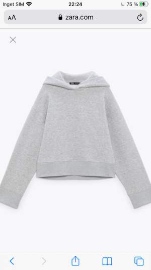 Säljer denna hoodie från zara🤩 fint skick!!