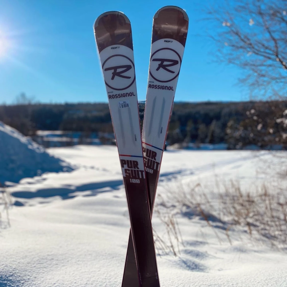 NYA CARVINGSKIDOR + BINDNINGAR - 90