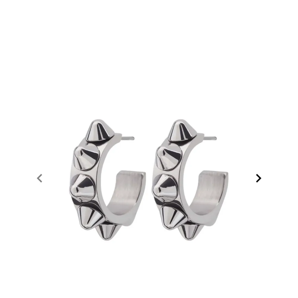 Säljer dessa örhängen från Edblad pågrund av att jag bara använder mina favorit örhängen. Har aldrig använt dom. Köpte dom för 400. Kostymer.