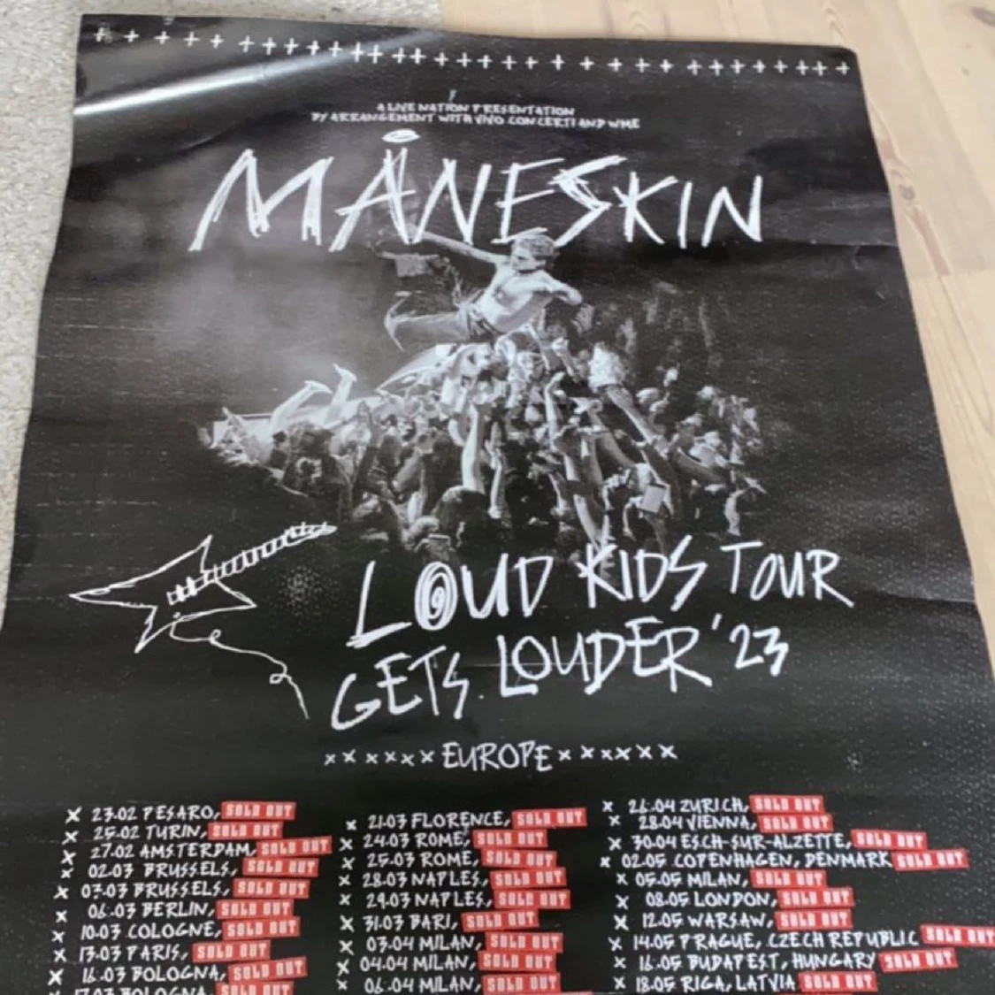 Måneskin poster❤️