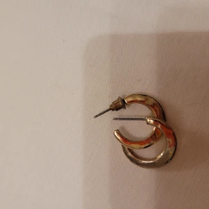 Örhängen - Guldpläterade runda örhängen 