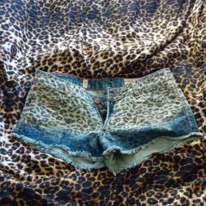 Leopard mönstarde shorts
