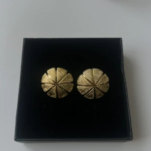 Örhängen  - Guldfärgade örhängen 🩷