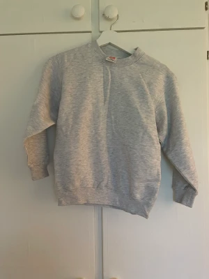 Grå tjocktröja - En tjocktröja ifrån hanes som inte kommer till användning