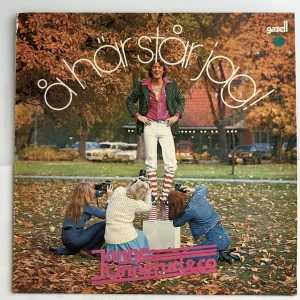 Vinylskiva - (Köp 5 stycken vinylskivor för 100kr!)🩷