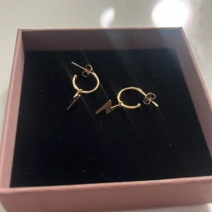 😻 -  Guld örhängen nickelfria.