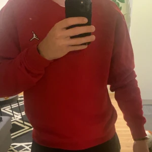 Jordan tröja - Oanvänd Nike Jordan tröja från Zalando. Inköpt i vintras för 1000:- och bara hängt i garderoben sedan dess! Storlek M   Hör av dig om du undrar något!
