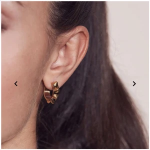 ENDAST ETT ÖRHÄNGE - Säljer ett Peak Creole örhänge från Edblad då jag tappat bort det ena💕 