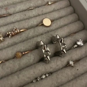 Örhängen  - Säljer dom populär Edblad örhängena 