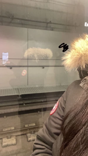 Canada goose - Ganska ny canada goose Inte använd mycket alls, behöver inte den längre. Storlek M. Kan visa QR koden och träffas i malmö/lund  behöver inte den längre