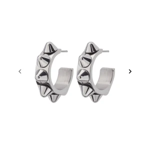 Örhängen Edblad  - De populär örhängena ifrån Edblad. Nypris 399kr. Bra skick! Säljer då de inte kommer till användning💕💕