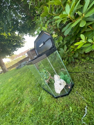 Akvarium  - Ett sexkantigt akvarium som är fullt fungerande. Det är lampa i locket och då får man med två växter, en rot och en Sten 