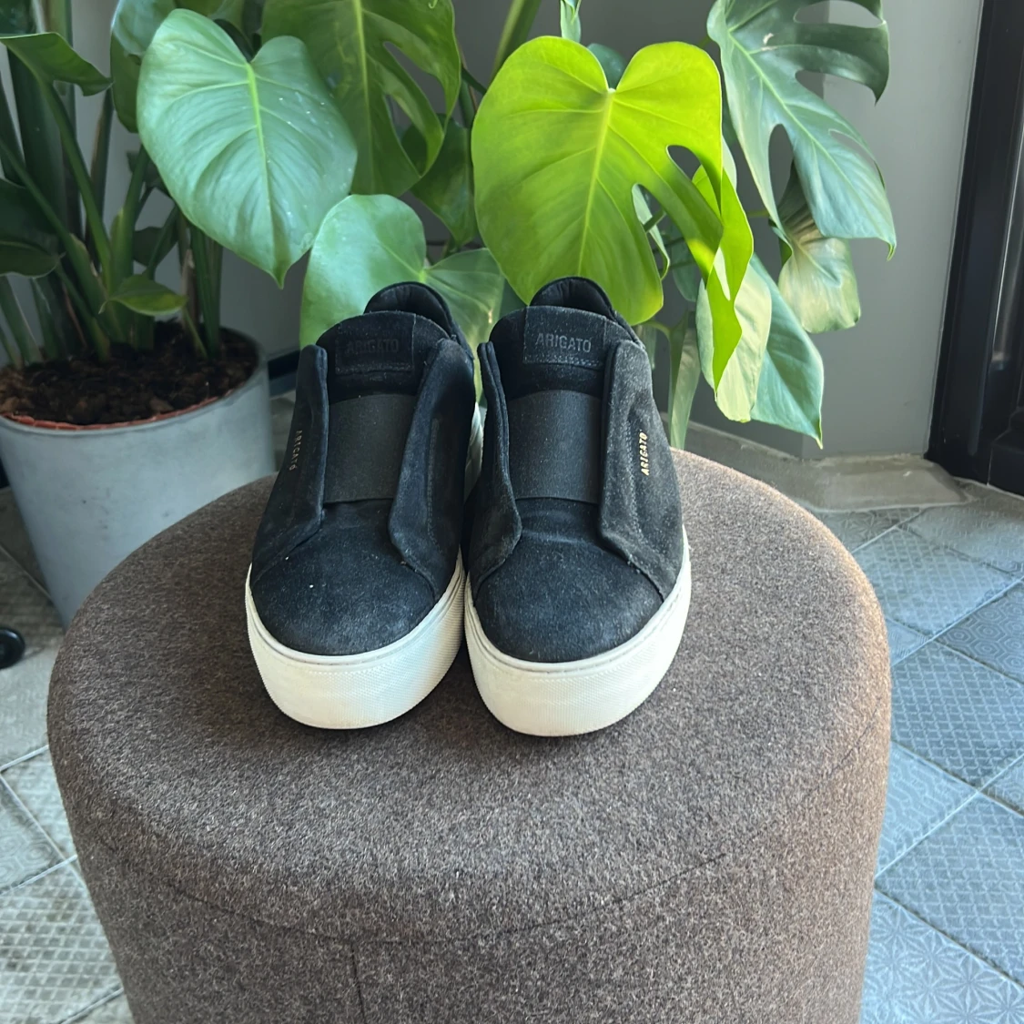 Clean 360 Laceless Arigato Skor - 91