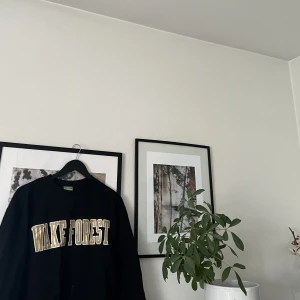 Champion tröja - Wake forest från champion