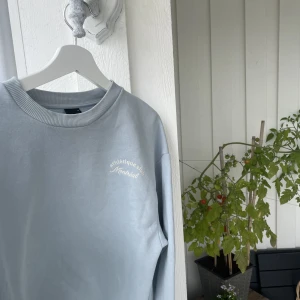SWEATSHIRT - Ljusblå sweatshirt från GINA TRICOT🦋storlek: S