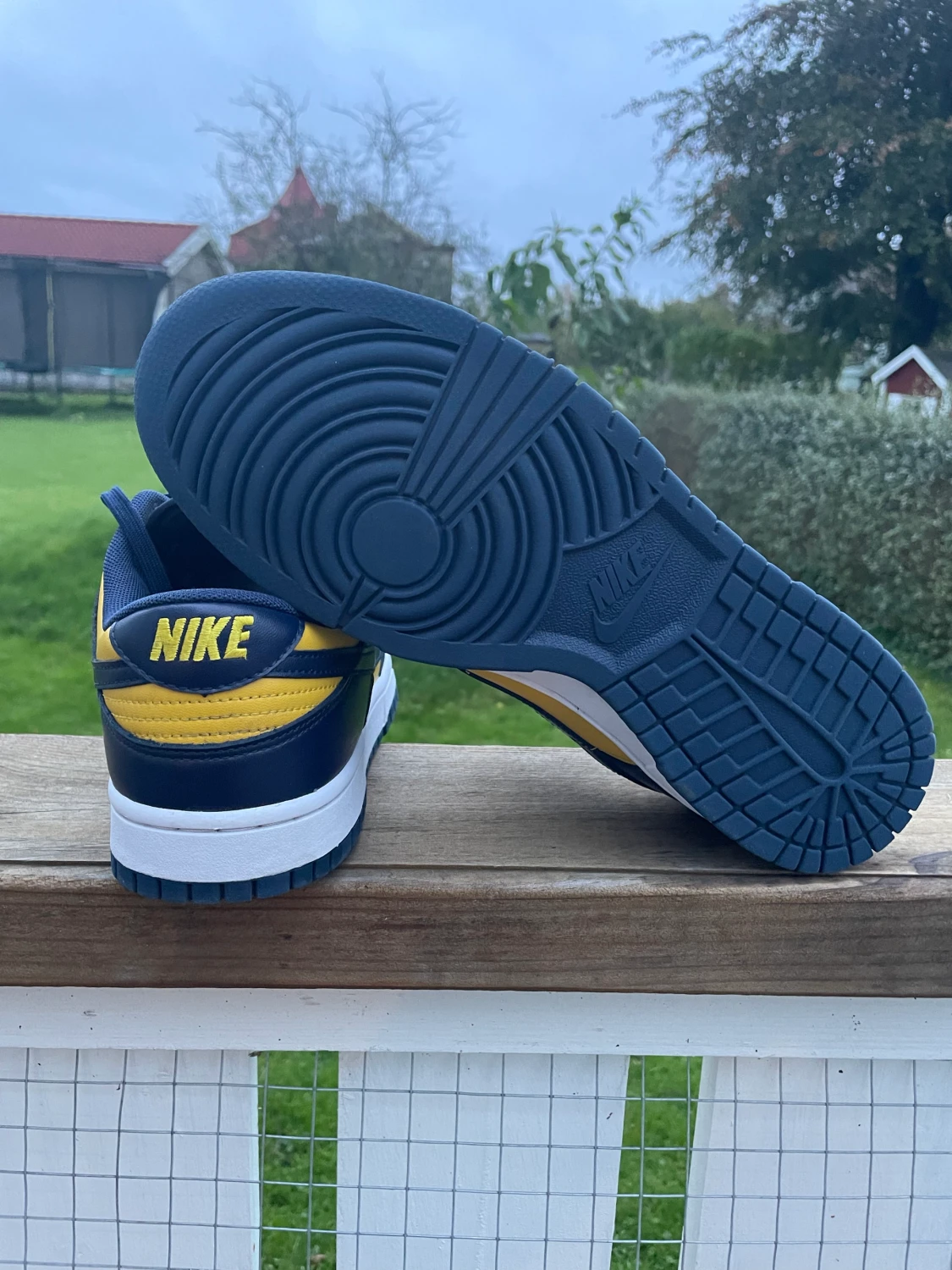 Nike dunk low Michigan - 90