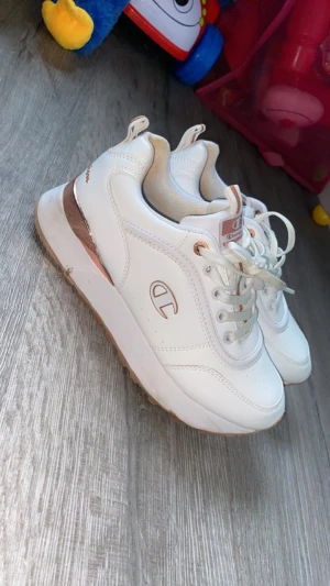 Champions skor - Använda endast en student behövs torkas av lite, st 37