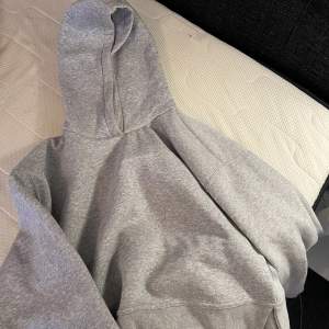 En grå hoodie som jag köpte förra året innan jag flyttade till usa. Känner inte att de är min stil längre så säljer den nu! 