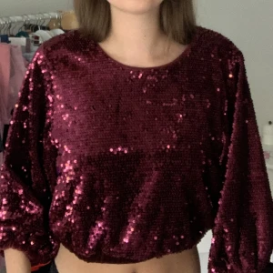 Vinröd långärmad paljettopp - Vinröd långärmad paljettopp från Bubbleroom i stlk M. Använd 1 gång. 