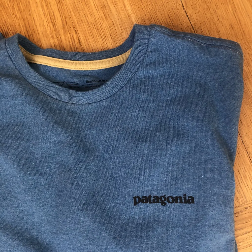 T-shirt från patagonia. Aldrig använd så väldigt fint skick! Storlek S herr, kanske M i kvinnostorlekar?  Köptes i Patagonia butik i usa😊. T-shirts.