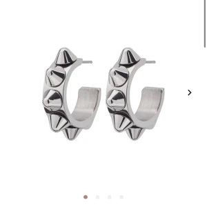 Edblad örhänge - säljer (ENDAST 1) Edblad örhänge pga tappa bort den andra, pris kan diskuteras💕