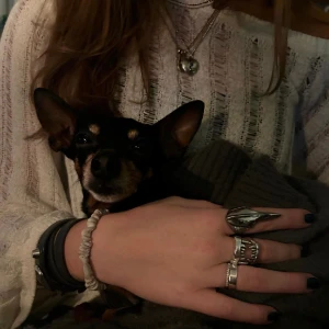 Rostfrittstål ring  - 001 BIRDSKULL S✅ M✅ L✅