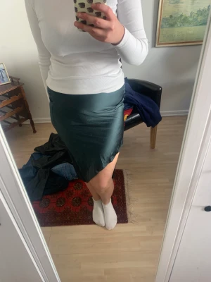 Ahlvar kjol - Säljer denna kjol köpt från Ahlvar för ca 1000kr