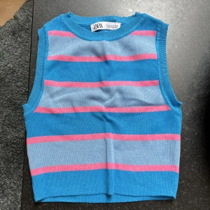 Blå och rosa topp från Zara💗💙 - Säljer denna blå och rosa randiga topp från Zara som ej säljs längre😍köpt för ca 2 år sedan men endast använd en gång! Säljer då den ej kommer till användning