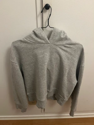Hoodie✨ - Grå hoodie i nyskick från Zara!! Är i storlek L men är som en M i storleken!! Slutsåld på zara⭐️